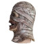 The Mummy Mask Cosplay Costume