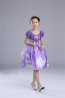 Sofia the First Deluxe Costume Dress For Girls