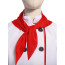 Boys Chef Costume - Shirt Hat Set Chef Cosplay