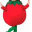 Tomato Costume - Kids Tomato Cosplay