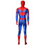 Spider-Man Into the Spider-Verse Peter Parker Suit Costume - Bodysuit Peter Parker Spider Man Cosplay