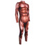 Male Muscle Suit Costume - Bodysuit Muscle Cosplay