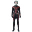 Ant-Man 2 Official Cosplay Costume