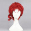 JoJo's Bizarre Adventure Noriaki Kakyoin Wig - Noriaki Kakyoin Cosplay Costume Wig Prop