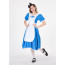 Women's Alice In Wonderland Costume