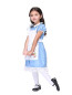Alice in Wonderland Girls Costume