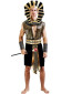 Mens Pharaoh Cosplay Costume