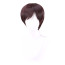 Harry Potter Wig - Brown Wig Hair Harry Potter Cosplay Costume