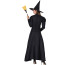 Women's Black Witch Costume