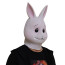 Haru Rabbit Beastars Mask Cosplay Costume