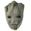 Guardians of the Galaxy Groot Costume - Fullsuit Mask Set Groot Cosplay