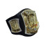 WWE World Champion Belt Cosplay Costume Prop