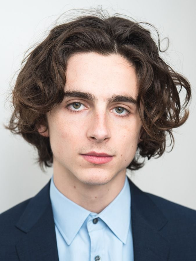 Timothée Chalamet Wig - Curly Messy Short Wig Timothée Chalamet Cosplay Costume