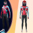 Spider-Man 2 Spider-Man Evolved Suit Costume - Bodysuit Hood Spider-Man Evolved Suit Cosplay