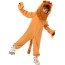 Boys Wizard of Oz Cowardly Lion Costume - Jumpsuit Hat Cowardly Lion Cosplay