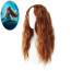 The Little Mermaid Movie 2023 Ariel Wig - Ariel Cosplay Costume Wig
