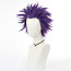 My Hero Academia Hitoshi Shinso Wig - Hitoshi Shinso Cosplay Costume Wig Prop