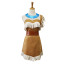 Disney Pocahontas Princess Cosplay Outfit For Children and Adults Halloween Costume