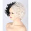 Cruella De Vil Cosplay Costume Wig Hair