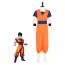 Dragon Ball Z Gohan Costume - Orange Jumpsuit Gohan Cosplay