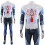 The Legend Of Zelda Sheik Costume - Sheik Cosplay