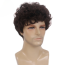 Harry Styles Wig - Curly Brown Wig Harry Styles Cosplay Costume