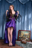 Halloween Masquerade Ball Fancy Evil Queen Purple Dress Costume