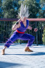 Dragon Ball Super Gohan Costume - Purple Gohan Cosplay