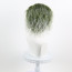 Beetlejuice Wig - Green Beetlejuice Cosplay Costume Wig Prop