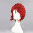 JoJo's Bizarre Adventure Noriaki Kakyoin Wig - Noriaki Kakyoin Cosplay Costume Wig Prop