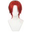 One Piece Shanks Wig - Shanks Cosplay Costume Wig