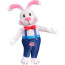 Rabbit Inflatable Costume