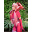 Darling In The FranXX Zero Two Costume - Red Pilot Bodysuit Zero Two Cosplay