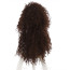 Harry Potter Bellatrix Lestrange Wig - Bellatrix Lestrange Cosplay Costume Wig Prop