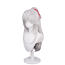 Honkai Star Rail Jing Yuan Wig  - Jing Yuan Cosplay Costume Wig 