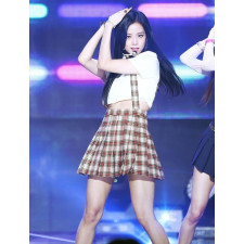Blackpink Rose Costume - Plaid Longsleeve Crop Top Black Skirt As If It's Your Last Rose Cosplay
