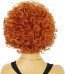 Ice Spice Wig - Orange Curly Ginger Afro Wig Ice Spice Cosplay Costume