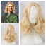 Sir Isaac Newton Wig - Isaac Newton Costume Wig Prop