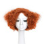 Alice in Wonderland The Mad Hatter Wig - Mad Hatter Costume Wig Prop
