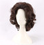 Timothée Chalamet Wig - Curly Messy Short Wig Timothée Chalamet Cosplay Costume