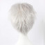 Bleach Toshiro Hitsugaya Wig Prop - Toshiro Hitsugaya Cosplay Costume Wig