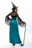 Halloween Masquerade Ball Lace Shawl Witch Long Dress With Hat Costume