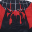 Kids Spider Man Across The Spider Verse Miles Morales Spider Man Costume - Hoodie Pants Set Miles Morales Spider Man Cosplay