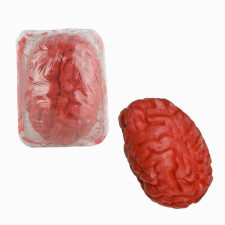 Bloody Brain Halloween Cosplay Prop