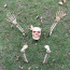 Skeleton Halloween Decoration Set