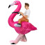 Riding Flamingo Inflatable Costume