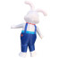 Rabbit Inflatable Costume