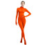 Zentai Costume - Bodysuit Zentai Cosplay
