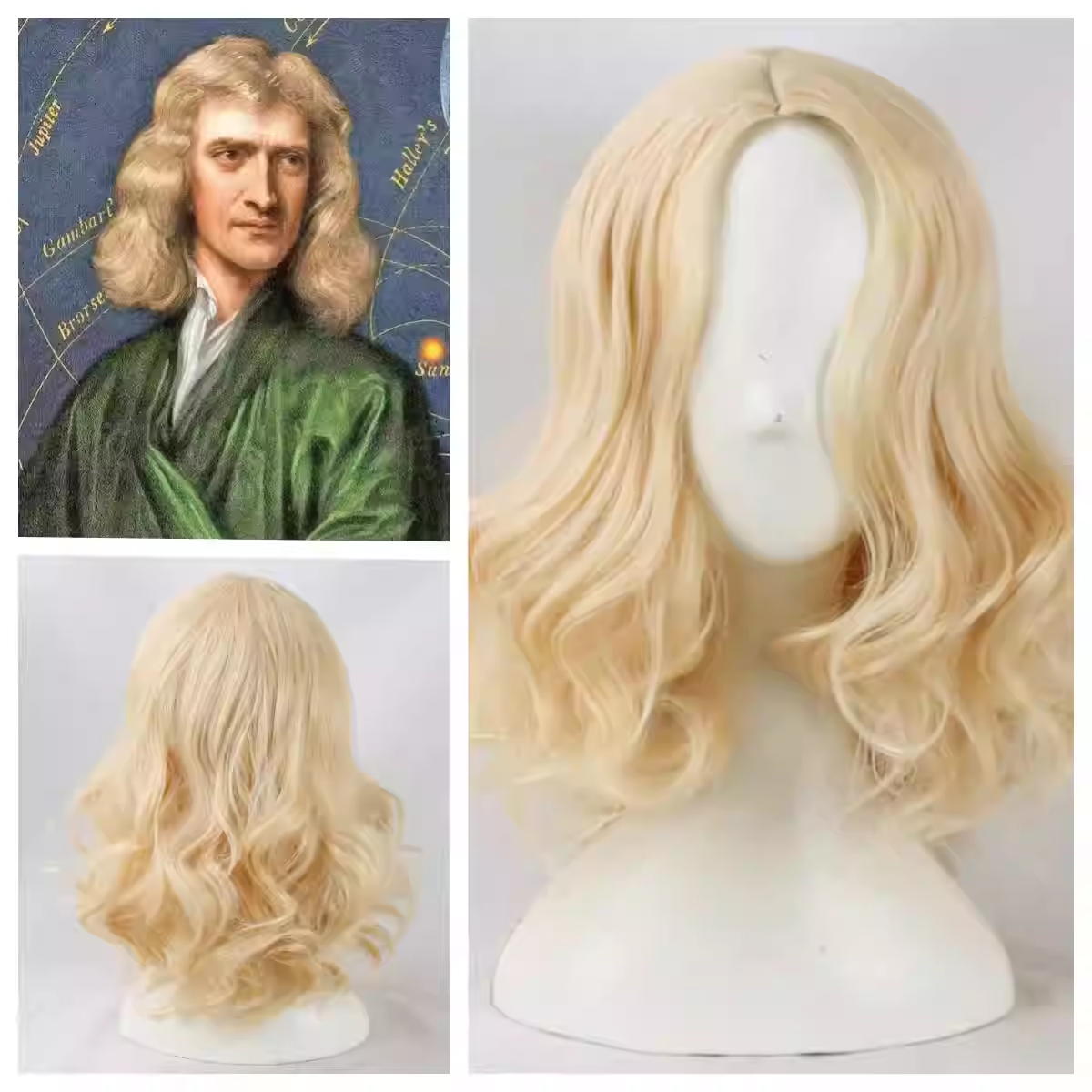 Sir Isaac Newton Wig - Isaac Newton Costume Wig Prop