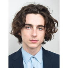 Timothée Chalamet Wig - Curly Messy Short Wig Timothée Chalamet Cosplay Costume